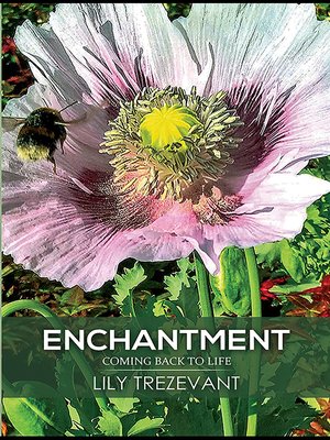 cover image of Enchantment